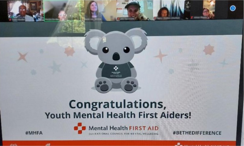 Youth Mental Health First Aid Training and Certification - JustServe