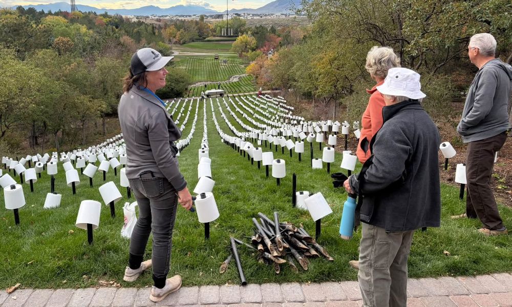 Volunteers Needed for Luminaria Setup at Ashton Gardens this October