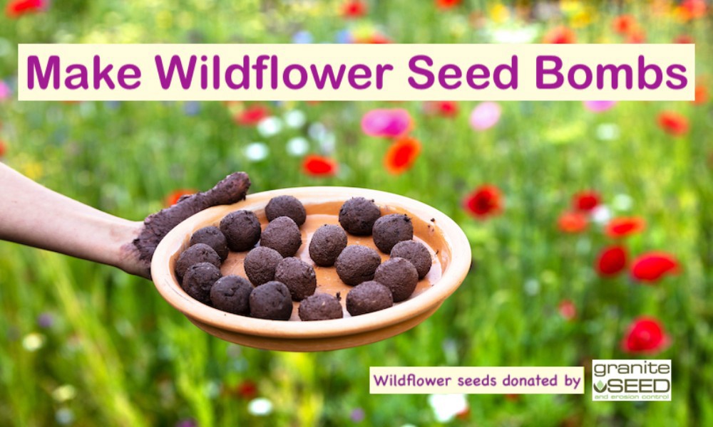 Help Wildflowers Grow Around Lehi - JustServe